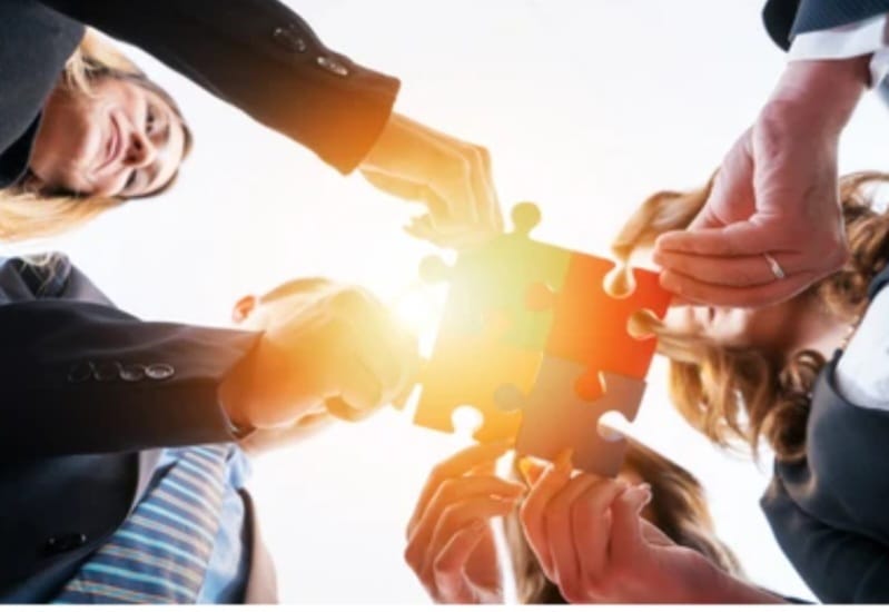 Immersions managériales stratégiques